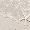 a starfish on the beach